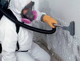 Asbestos and Lead Testing During Mold Inspection in Port Salerno, FL